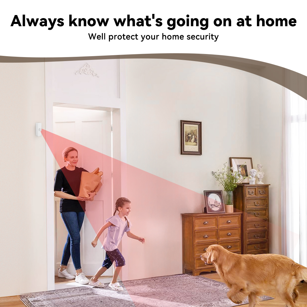 Tuya Smart PIR-Bewegungssensor – Smart Home Monitoring Bewertung und Preis