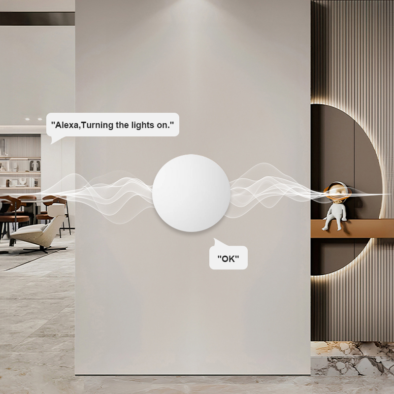 ZigBee Smart Wireless-Tastensc – Smart Home Voice Assistant Bewertung und Preis