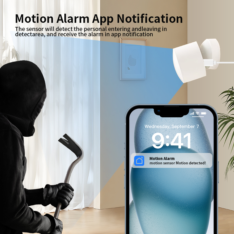 Zigbee- oder Wi-Fi-Sensor für  – Smart Home Monitoring Bewertung und Preis