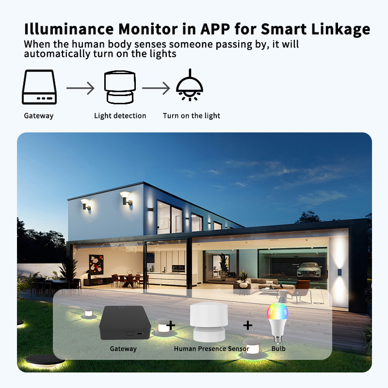 Zigbee- oder Wi-Fi-Sensor für  – Smart Home Monitoring Bewertung und Preis